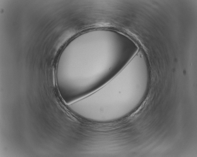 X0000073981171200608211001