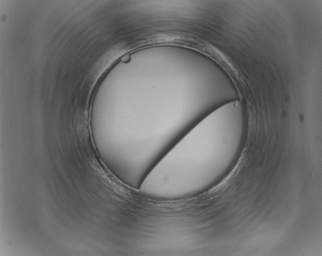 X0000073981178200608211001