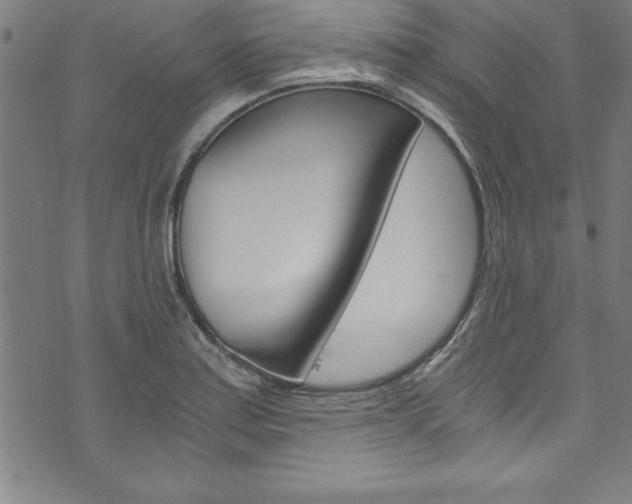 X0000073981179200608211001