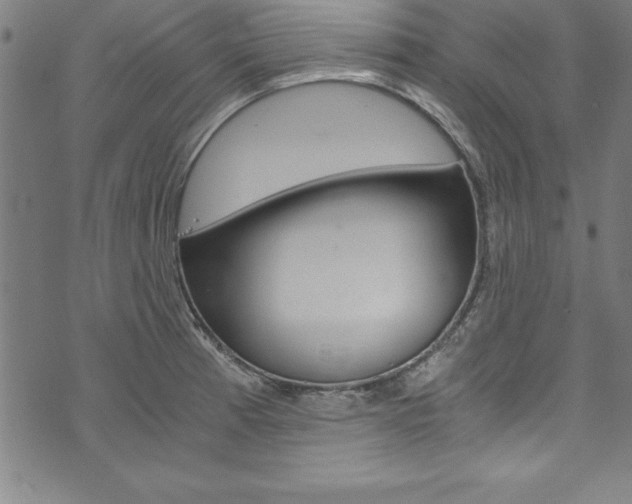 X0000073981185200608211001