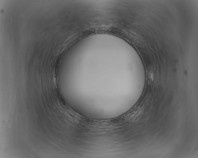 X0000073981252200608210959