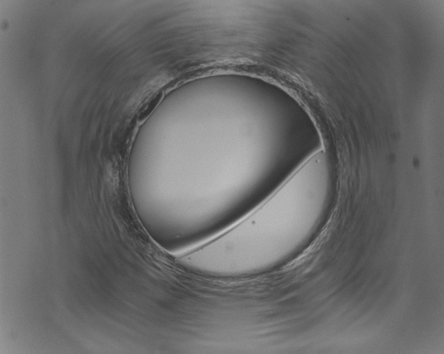 X0000073981257200608210959