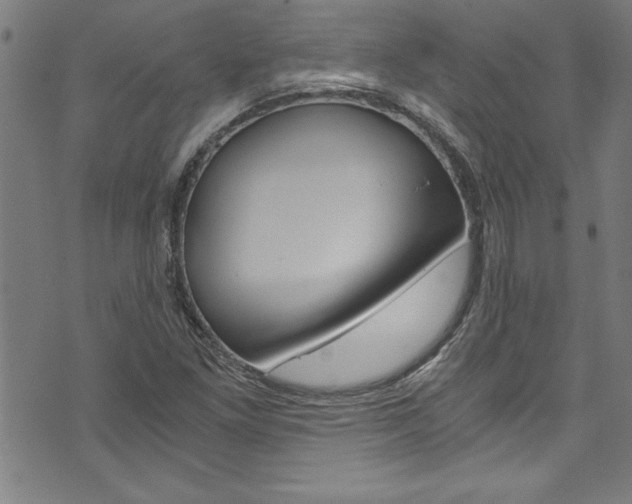 X0000073981261200608210959