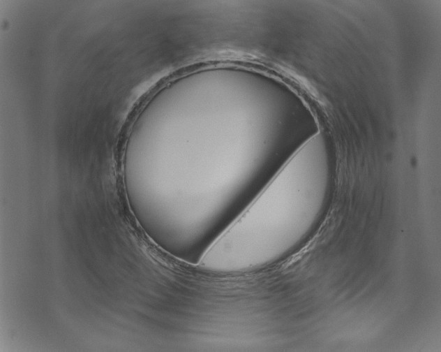 X0000073981264200608210959