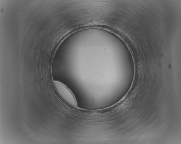 X0000073981265200608210959