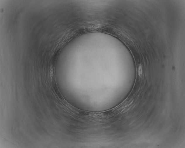 X0000073981299200608210958