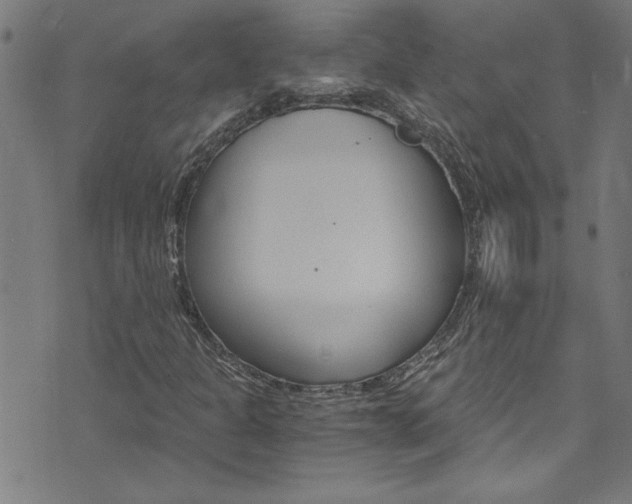 X0000073981301200608210958
