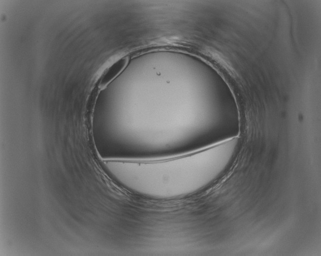 X0000073981308200608210958