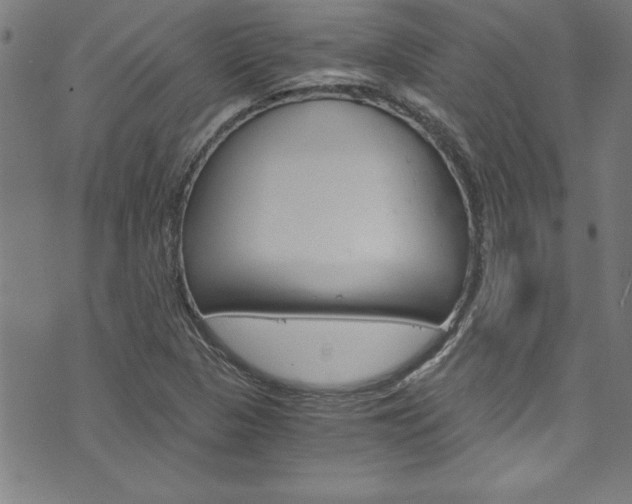 X0000073981313200608210958
