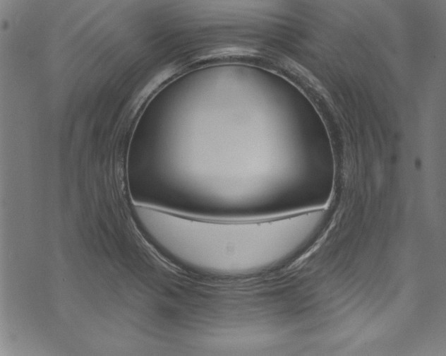 X0000073981321200608210958