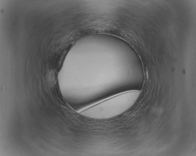 X0000073981347200608210958
