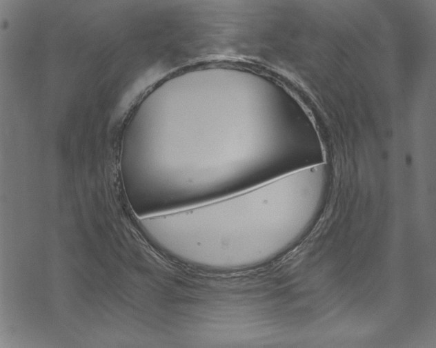 X0000073981359200608210958