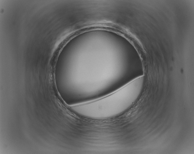 X0000073981360200608210958