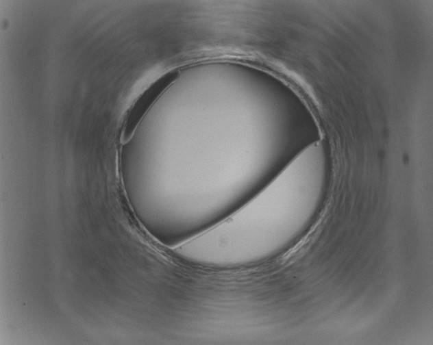 X0000073981365200608210958