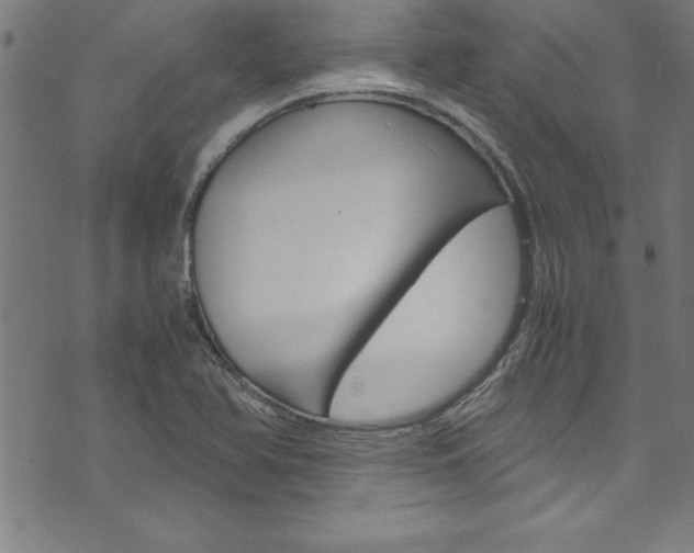X0000073981366200608210958