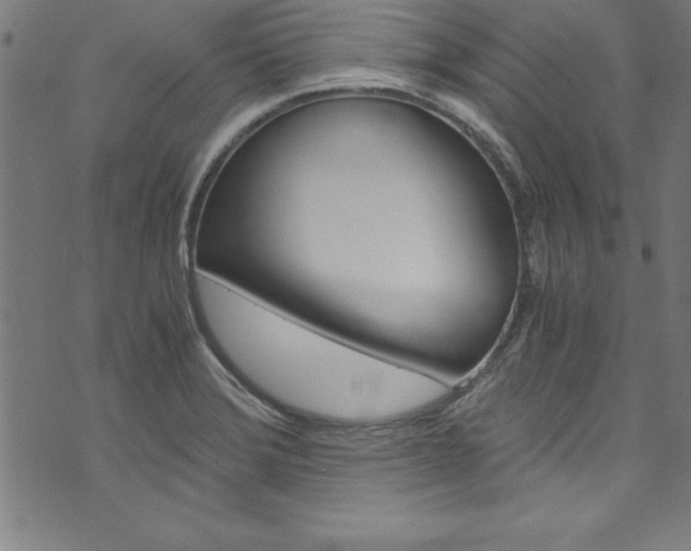 X0000073981372200608210958