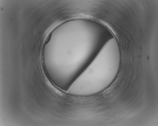 X0000073981387200608210957