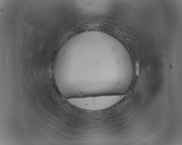 X0000073981395200608210957