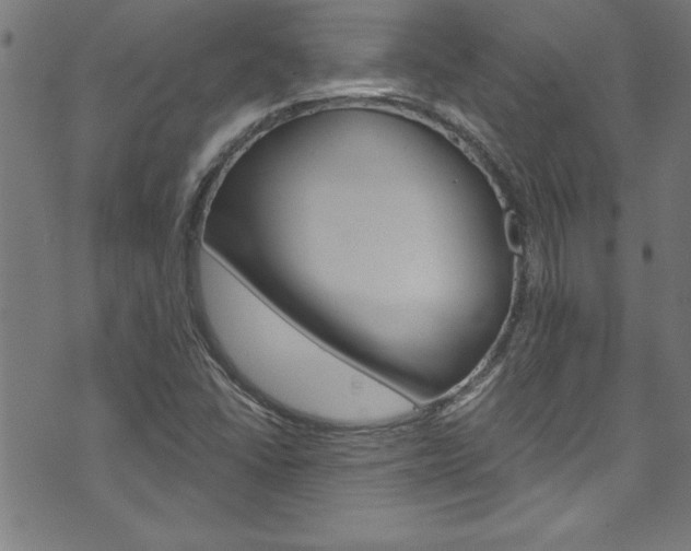 X0000073981406200608210957