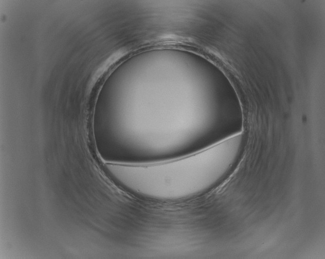 X0000073981410200608210957