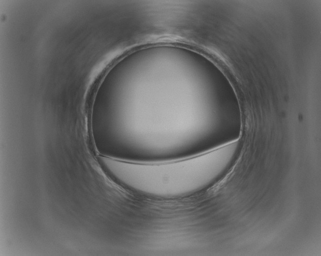 X0000073981414200608210957