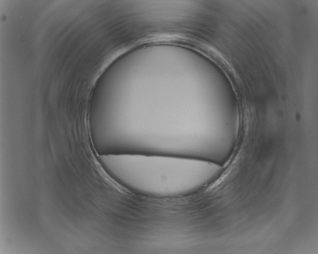 X0000073981417200608210957