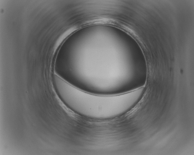 X0000073981426200608210957