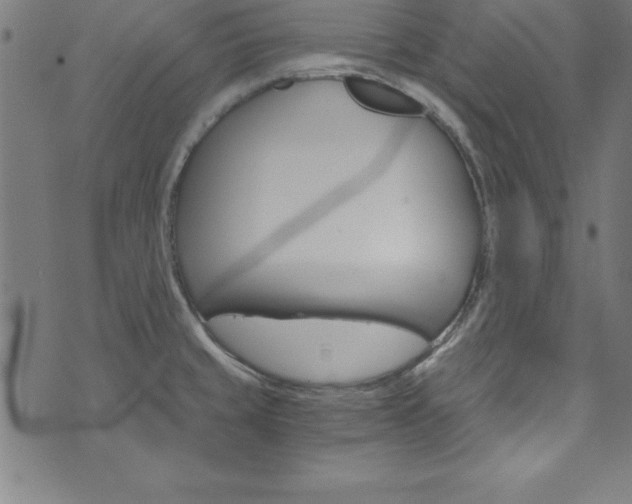 X0000073981429200608210957