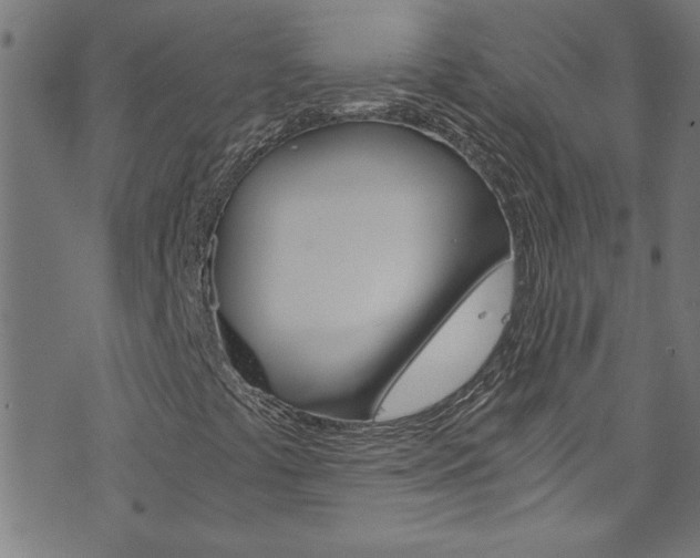 X0000073981441200608210956