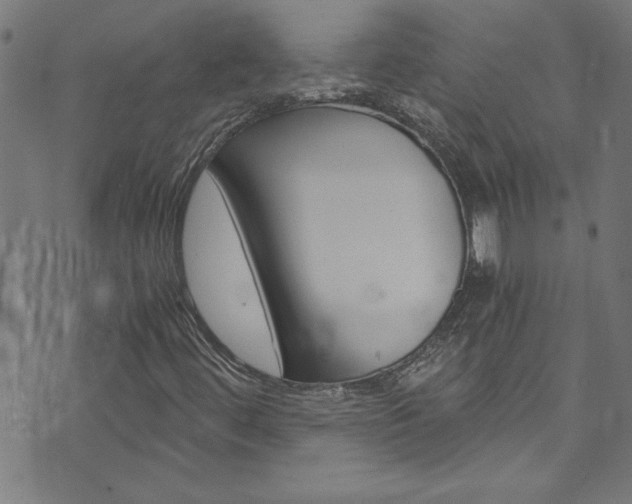 X0000073981444200608210956