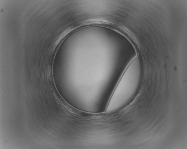 X0000073981465200608210956