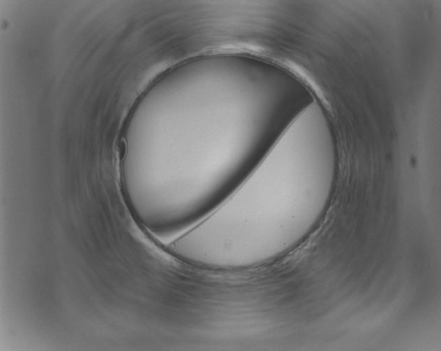 X0000073981476200608210956