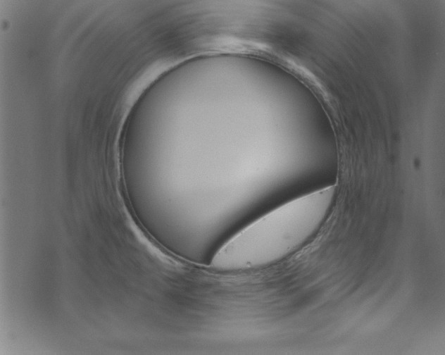 X0000073981479200608210956