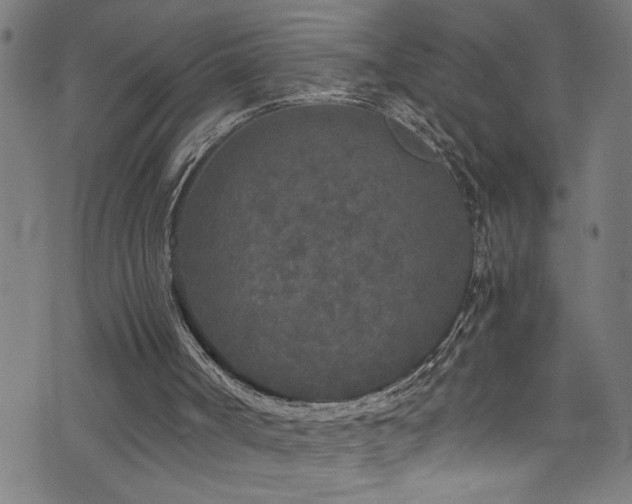 X0000073980002200608211306
