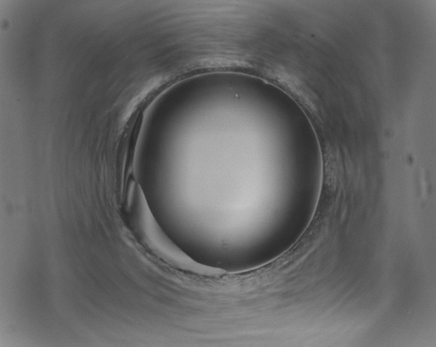 X0000073980015200608211306