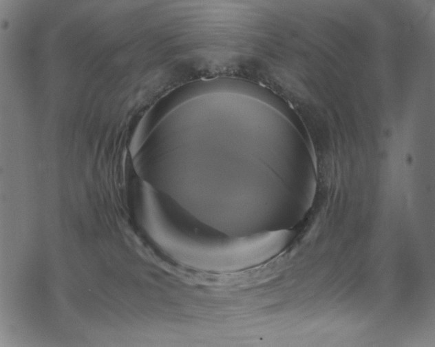X0000073980039200608211306