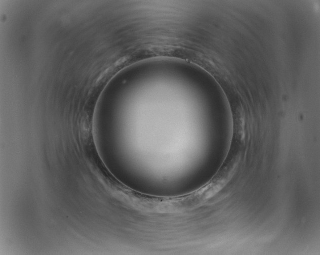 X0000073980040200608211306