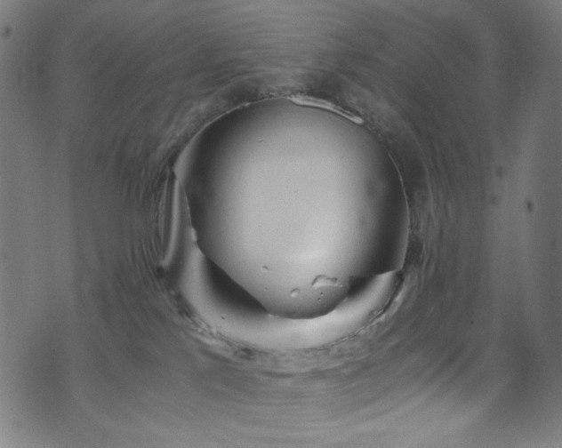 X0000073980041200608211306
