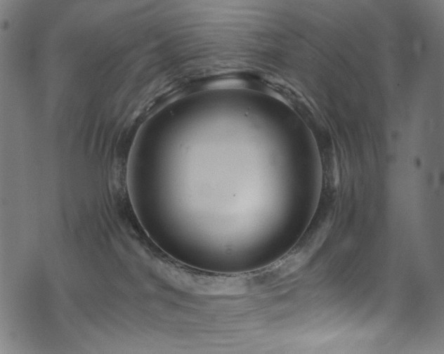 X0000073980044200608211306
