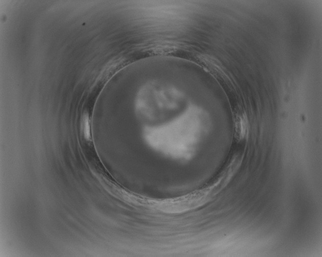 X0000073980046200608211306