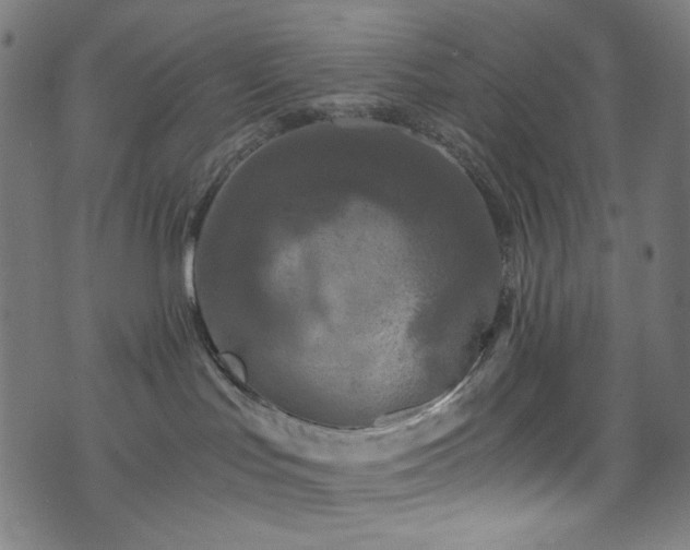 X0000073980047200608211306