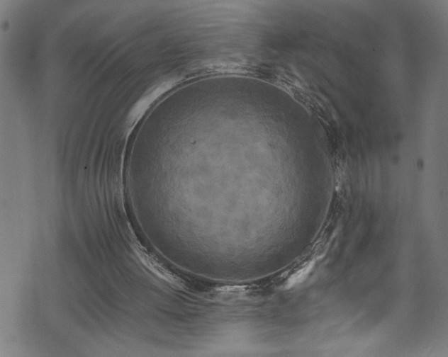X0000073980052200608211305