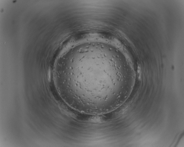 X0000073980076200608211305
