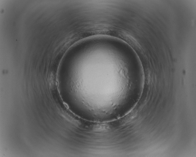 X0000073980077200608211305