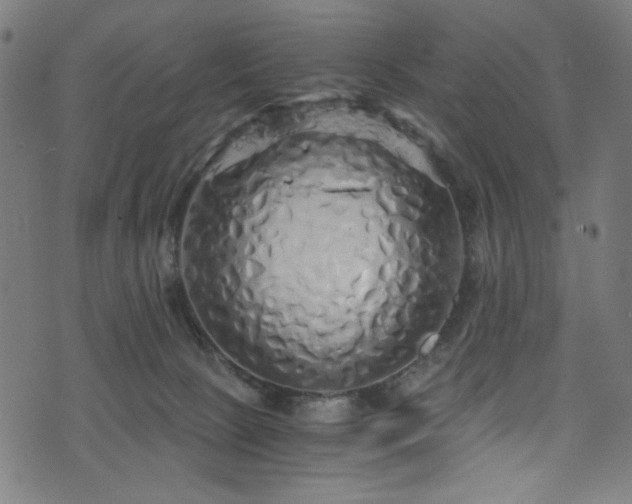 X0000073980081200608211305