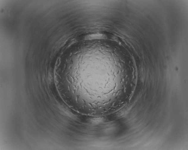 X0000073980085200608211305