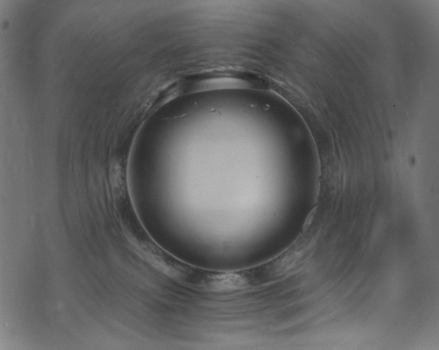 X0000073980087200608211305