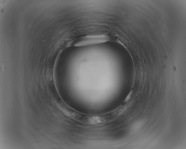 X0000073980091200608211305