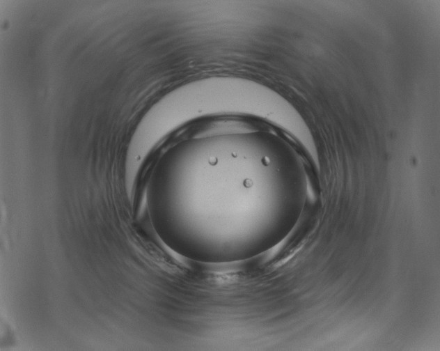 X0000073980092200608211305