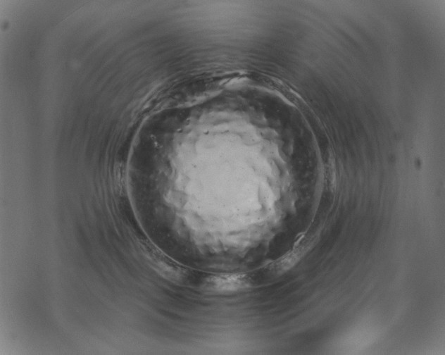 X0000073980093200608211306